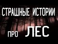 СТРАШНЫЕ ИСТОРИИ НА НОЧЬ / СТРАШНЫЕ ИСТОРИИ ПРО ЛЕС / СТРАШНЫЕ ИСТОРИИ ПРО ДЕРЕВНЮ / ТАЙГУ