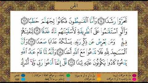 سورة الجن// برواية حفص عن عاصم// الشيخ الحصري رحمه الله