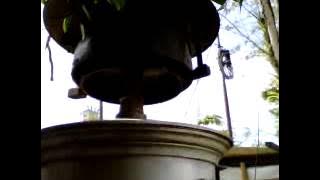 Bel Genta PJL # 564 stasiun kebumen