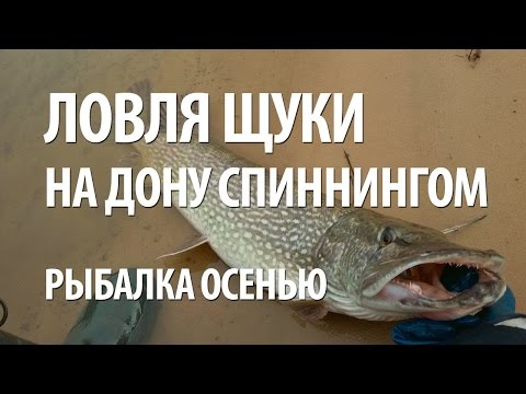 морская ловля хищников