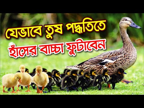 ভিডিও: কীভাবে একটি কাগজের আইফোন তৈরি করবেন: 13 টি ধাপ (ছবি সহ)