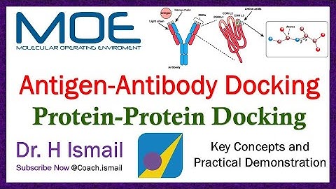 Protein Protein Docking using MOE | Antigen Antibody Docking | Concepts and Results Interpretation