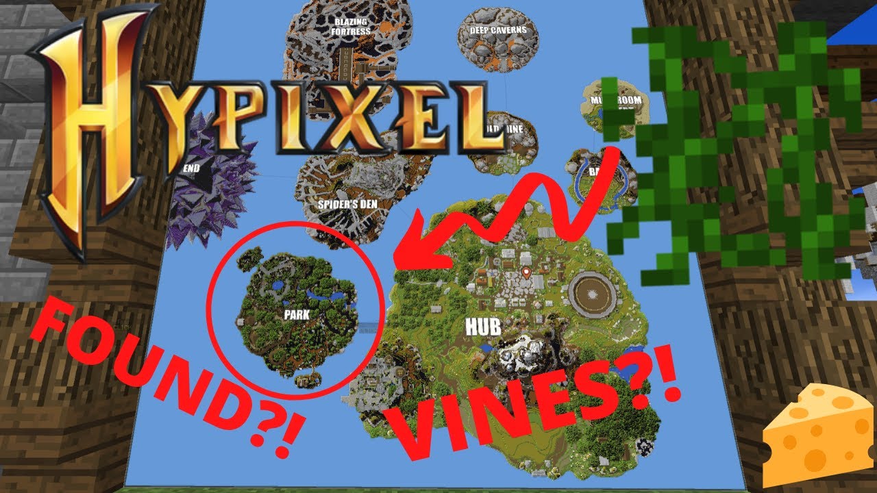 How to Get VINES/HYPIXEL SKYBLOCK! YouTube