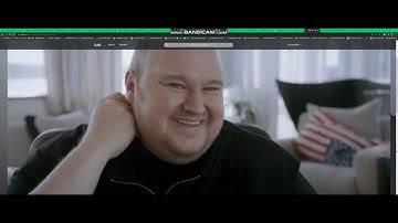 Kim Dotcom caught in the web 🕸
