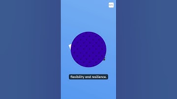 The Rise of Multi-Cloud Strategies