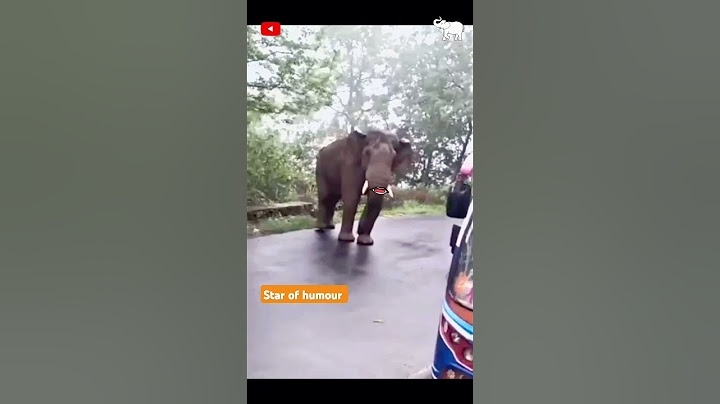 முடியலடா சாமி 🐘🐘🐘 #shortsfeed #elephant #dubbing #shortvideo #subscribe #funnyanimals #starofhumour