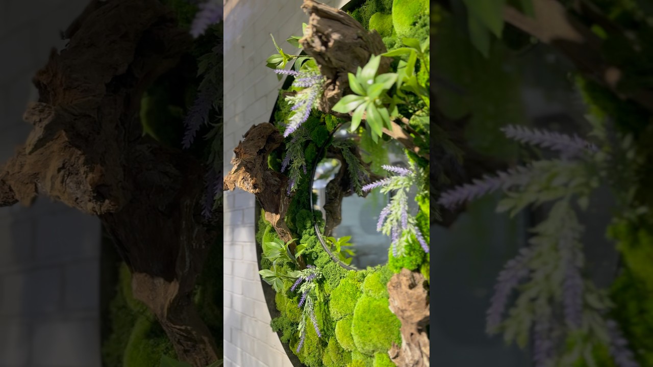 Preserved Moss & Mirror: A Reflection of Life and Nature 