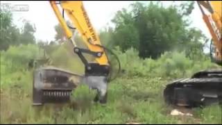 Lhallucinante Machine À Pulvériser Les Arbres