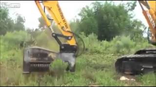 L'Hallucinante Machine à Pulvériser les Arbres