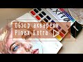 Обзор акварели Pinax Extra/ Выкраски и скетч