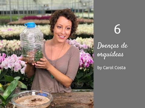 Vídeo: Como Reconhecer Doenças De Orquídeas?