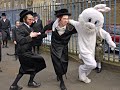 Stamford hill   the capital of ashkenazi ultraorthodox jews in europe  