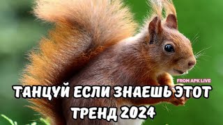 💗ТАНЦУЙ ЕСЛИ ЗНАЕШЬ ЭТОТ ТРЕНД 2024💗