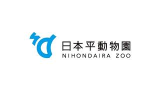 日本平動物園の配信のサムネイル画像