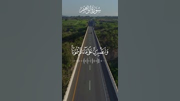 "تأملات في آيات من القرآن: معاني وخير