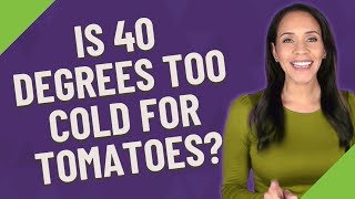 Top 20 Can tomato plants survive 40 degree weather