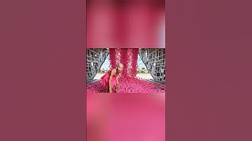 Hùng Trọc thả 1 tỷ cây son hường xuống trường học troll Capybara #capybara #shorts