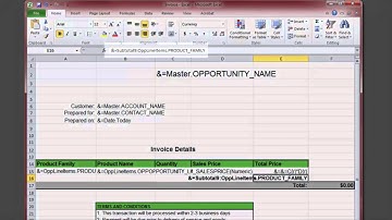 Excel Conga Skills Session Video: Grouping Data in your Excel Template Release 8