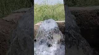 Ramesh Kumar vlog india #shortvideo #funny #farming #training video#trending song #reels