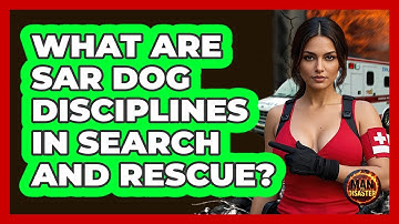What Are SAR Dog Disciplines In Search And Rescue? - Man vs. Disaster