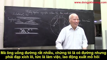 Đề phòng ngăn ngừa tắc nghẹt ĐỘNG MẠCH VÀNH tránh phải thông tim, mổ tim, đột quỵ   Khí Công Y Đạo