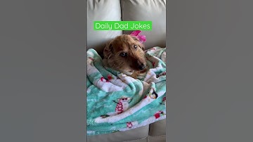 Todays Daily Dad Joke| Microsoft 😂📄 #daily #dadjokes #youtubeshorts #shorts