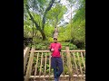 【Vlog】屋久島行って縄文杉見てきた声優【石川界人】