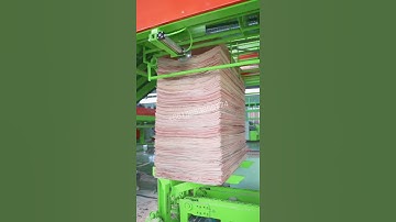 apilador de chapa de madera contrachapada completamente automático de la máquina peladora