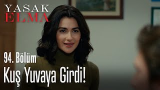 Kuş yuvaya girdi - Yasak Elma 94. Bölüm