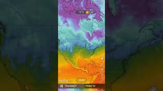 Temperature Forecast of North America for the next Two Days.-Windy.com