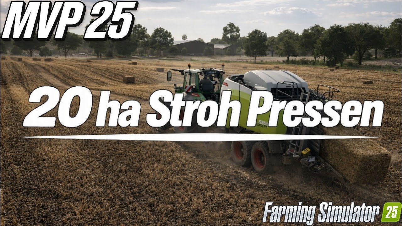 #21 Ein FELD. Eine ARBEIT. STROH PRESSEN! | TIMELAPSE | MVP25 | Farming Simulator 25