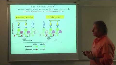 06 cable theory and dendritic computations 01 lesson 6 06 recent breakthroughs