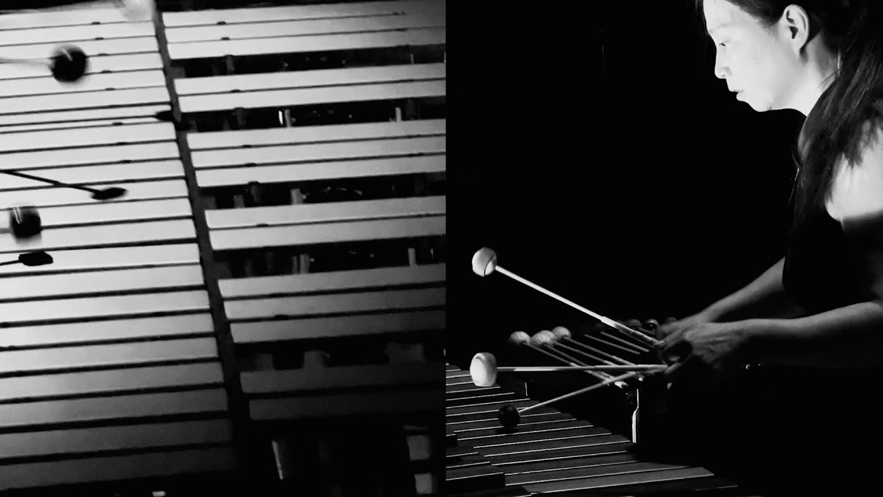 REICH // 'Mallet Quartet' by Kuniko YouTube