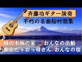 不朽の名曲/船村徹集☆斉藤功ギター演奏シリーズ