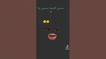 صاي درت الكوراج ونسيتك سندس سيليا 