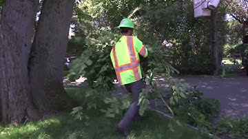 Protecting our Community Electric Lines with Free Tree Trimming Services