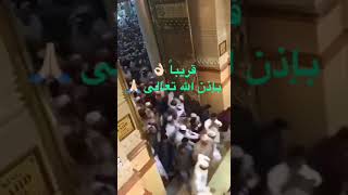 قريباً بإذن الله تعالى ️️?  الوصف 