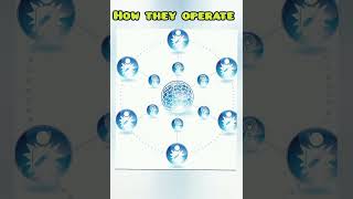 How Sleeper Cells Work — Invisible Threats