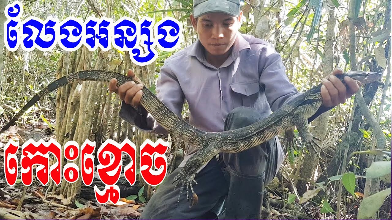 Rescues A Monitor Lizard In The Deep rescues-a-monitor-lizard-in-the-deep
