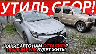 видео: КАКИЕ АВТОМОБИЛИ ПОКУПАТЬ С НОВЫМ УТИЛЬ СБОРОМ⁉️ПРАВЫЙ РУЛЬ БУДЕТ ЖИТЬ🔥АВТО ИЗ ЯПОНИИ ОТ 500т РУБЛЕЙ картинка: КАКИЕ АВТОМОБИЛИ ПОКУПАТЬ С НОВЫМ УТИЛЬ СБОРОМ⁉️ПРАВЫЙ РУЛЬ БУДЕТ ЖИТЬ🔥АВТО ИЗ ЯПОНИИ ОТ 500т РУБЛЕЙ