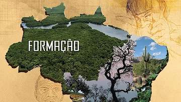 Como definir Cerrado?