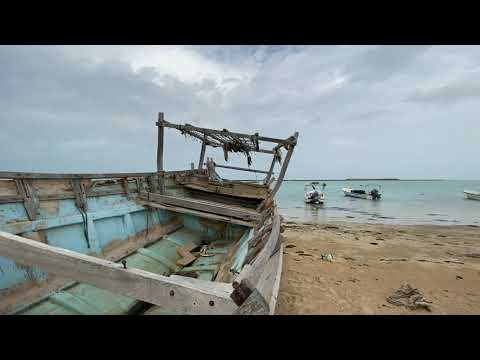 رحلتي إلى جزيرة فرسان الجزء الأول