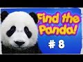 Game #8 😊 Playable video 🐼 Find The Panda! 🔍 [English version]