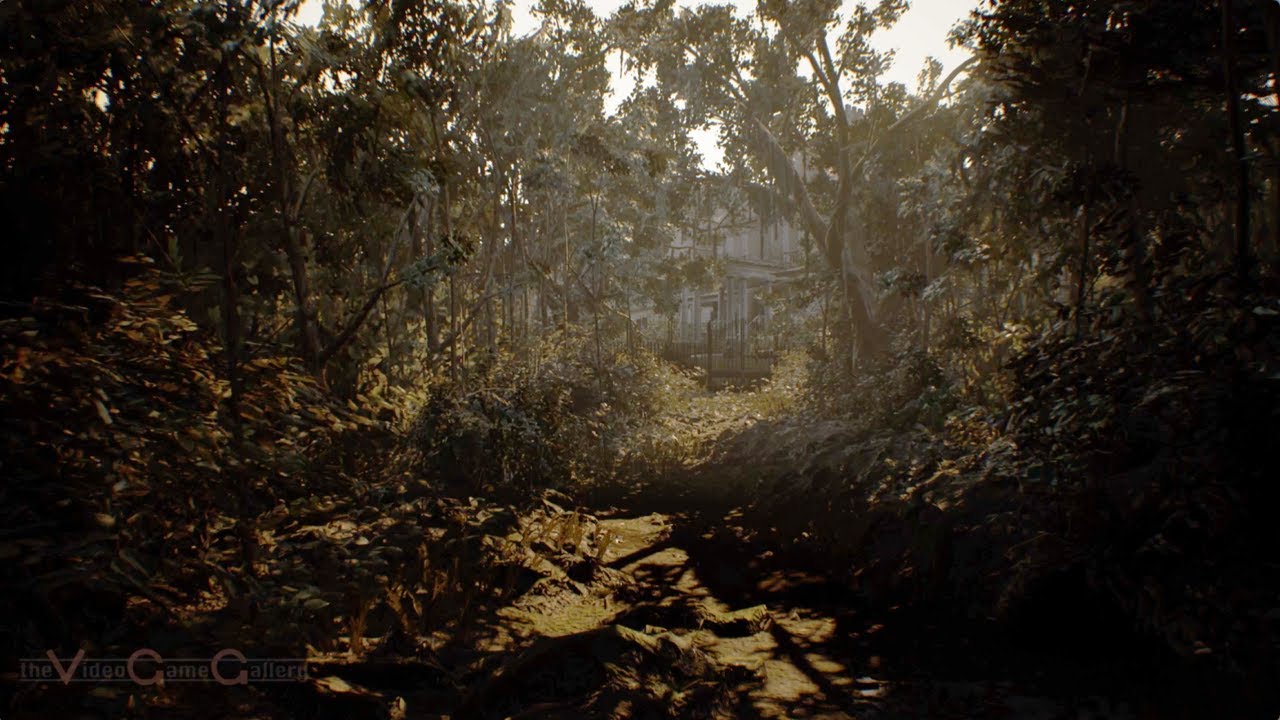 Some of the forest Some of the forest