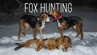 NH: Fox Hunting with Hounds | 2018