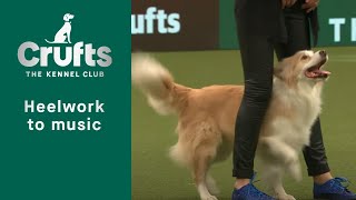 Heelwork To Music  Freestyle International Competition Part 3 | Crufts 2023