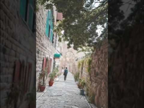 أغنية بابار فيل Music 