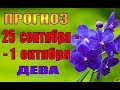 Прогноз с 25 сентября по 1 октября ДЕВА. Гороскоп с 25 сентября по 1 октября для дев