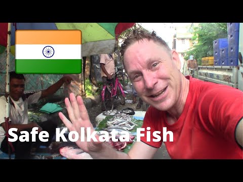 🇮🇳  Safe to Eat Kolkata FISH?  Cycling Tour of East Kolkata Wetlands  {Kolkata, INDIA}