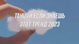 🌸ТАНЦУЙ ЕСЛИ ЗНАЕШЬ ЭТОТ ТРЕНД🤍ТРЕНДЫ ТИК ТОК🌸ТРЕНДЫ 2024